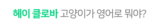 헤이 클로바 고양이가 영어로 뭐야?