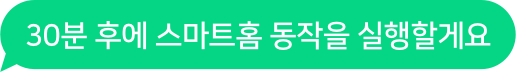 30분 후에 스마트홈 동작을 실행할게요